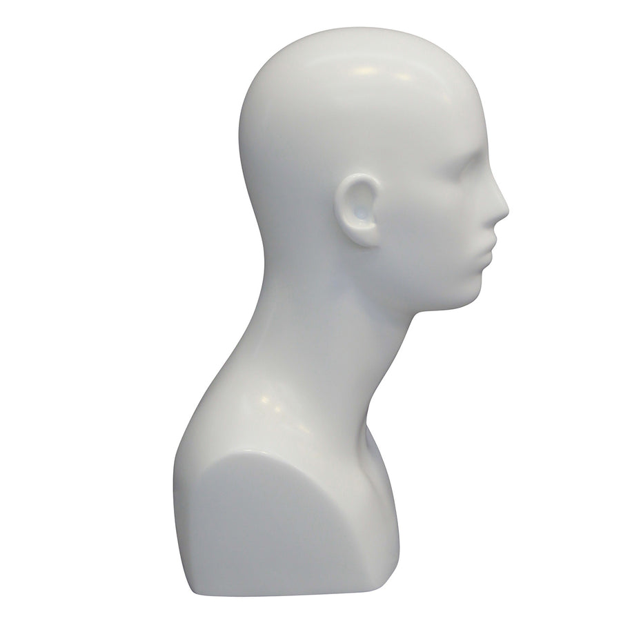 Mens Head Torso / メンズヘッドトルソーの商品画像